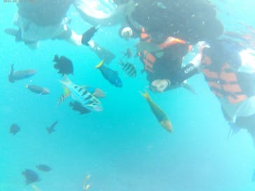 北谷海人の会に投稿された画像（2024/6/11）