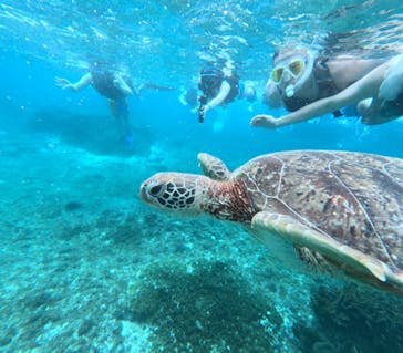 宮古島 ADVENTURE PiPi（ミヤコジマ アドベンチャー ピピ）に投稿された画像（2024/6/11）