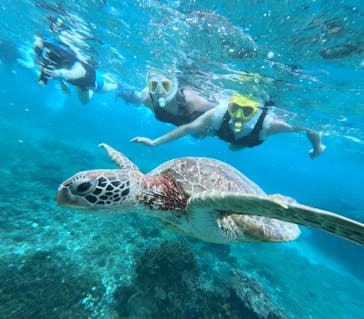 宮古島 ADVENTURE PiPi（ミヤコジマ アドベンチャー ピピ）に投稿された画像（2024/6/11）