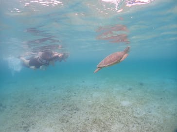 宮古島マリンショップSmileyに投稿された画像（2024/6/11）