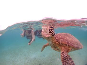 宮古島マリンショップSmileyに投稿された画像（2024/6/11）