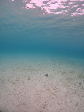 宮古島マリンショップSmileyに投稿された画像（2024/6/11）