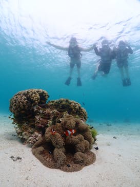 宮古島マリンショップSmileyに投稿された画像（2024/6/11）