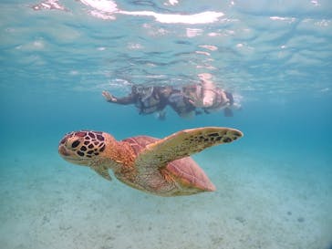 宮古島マリンショップSmileyに投稿された画像（2024/6/11）