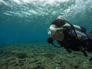 沖縄マリンサービス碧に投稿された画像（2024/6/11）