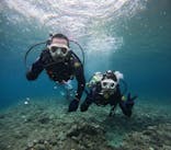 沖縄マリンサービス碧に投稿された画像（2024/6/11）