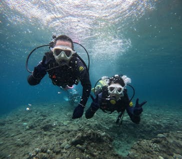 沖縄マリンサービス碧に投稿された画像（2024/6/11）