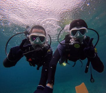 沖縄マリンサービス碧に投稿された画像（2024/6/11）