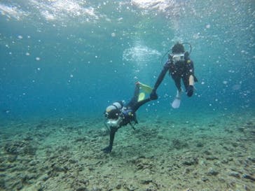 沖縄マリンサービス碧に投稿された画像（2024/6/11）