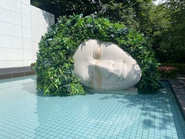 彫刻の森美術館に投稿された画像（2024/6/11）