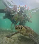 nico 宮古島に投稿された画像（2024/6/11）