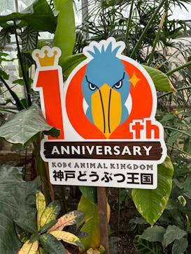 神戸どうぶつ王国に投稿された画像（2024/6/11）