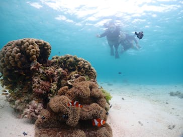 宮古島マリンショップSmileyに投稿された画像（2024/6/11）