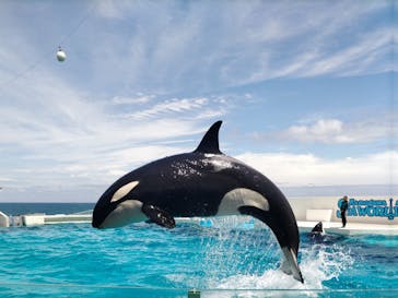鴨川シーワールドに投稿された画像（2024/6/11）