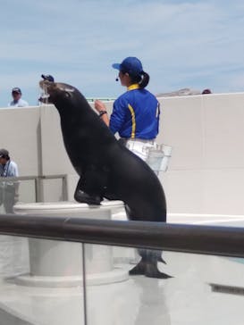 鴨川シーワールドに投稿された画像（2024/6/11）