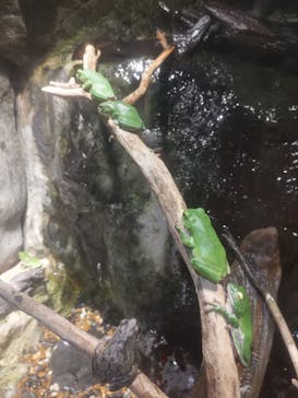 鴨川シーワールドに投稿された画像（2024/6/11）