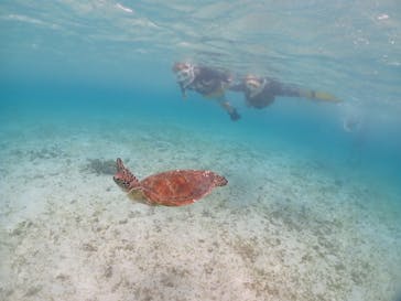 宮古島マリンショップSmileyに投稿された画像（2024/6/11）