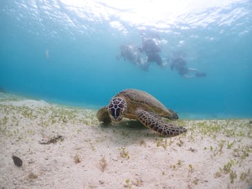 宮古島マリンショップSmileyに投稿された画像（2024/6/11）