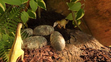 アソビュー株式会社 161694に投稿された画像（2024/6/11）