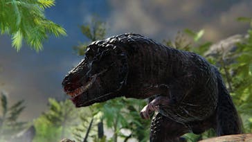 アソビュー株式会社 161694に投稿された画像（2024/6/11）