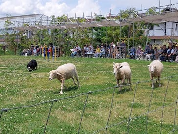 神戸どうぶつ王国に投稿された画像（2024/6/11）