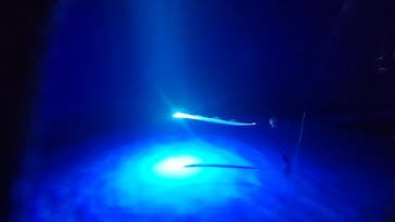 サンシャイン水族館に投稿された画像（2024/6/11）