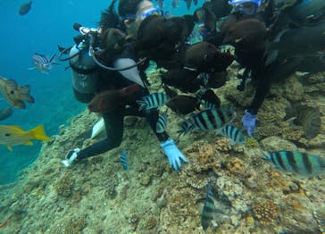 武藤潜水に投稿された画像（2024/6/11）