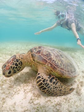 宮古島マリンショップSmileyに投稿された画像（2024/6/11）