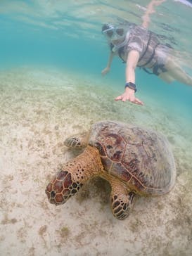 宮古島マリンショップSmileyに投稿された画像（2024/6/11）