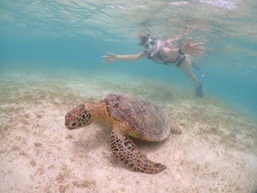 宮古島マリンショップSmileyに投稿された画像（2024/6/11）