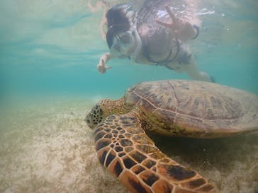 宮古島マリンショップSmileyに投稿された画像（2024/6/11）