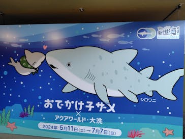 アクアワールド茨城県大洗水族館に投稿された画像（2024/6/11）