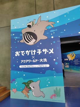アクアワールド茨城県大洗水族館に投稿された画像（2024/6/11）