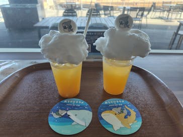 アクアワールド茨城県大洗水族館に投稿された画像（2024/6/11）