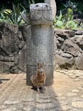 伊豆シャボテン動物公園に投稿された画像（2024/6/11）