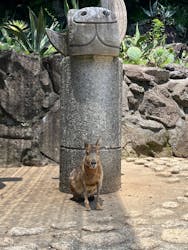 伊豆シャボテン動物公園に投稿された画像（2024/6/11）