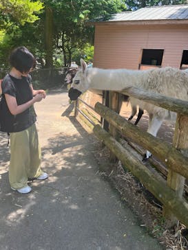 伊豆シャボテン動物公園に投稿された画像（2024/6/11）