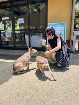 伊豆シャボテン動物公園に投稿された画像（2024/6/11）