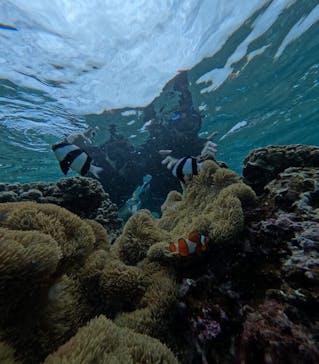 宮古島 ADVENTURE PiPi（ミヤコジマ アドベンチャー ピピ）に投稿された画像（2024/6/11）