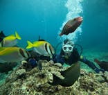 沖縄マリンサービス碧に投稿された画像（2024/6/11）