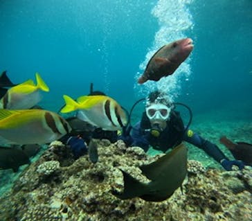 沖縄マリンサービス碧に投稿された画像（2024/6/11）