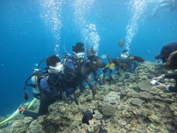 沖縄マリンサービス碧に投稿された画像（2024/6/11）