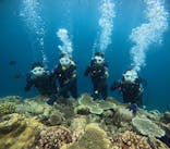 沖縄マリンサービス碧に投稿された画像（2024/6/11）