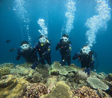 沖縄マリンサービス碧に投稿された画像（2024/6/11）