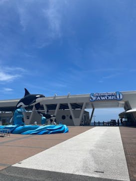 鴨川シーワールドに投稿された画像（2024/6/11）