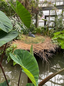 神戸どうぶつ王国に投稿された画像（2024/6/11）