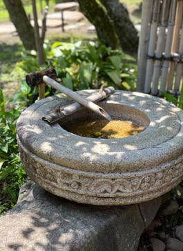 三溪園に投稿された画像（2024/6/11）