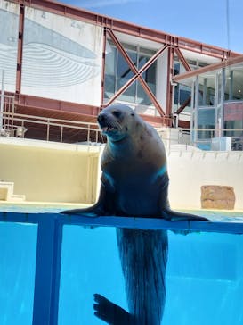伊豆・三津シーパラダイスに投稿された画像（2024/6/11）