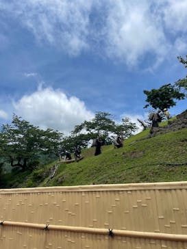 土肥金山に投稿された画像（2024/6/11）