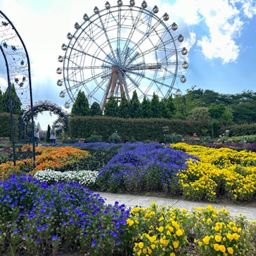 東武動物公園に投稿された画像（2024/6/11）
